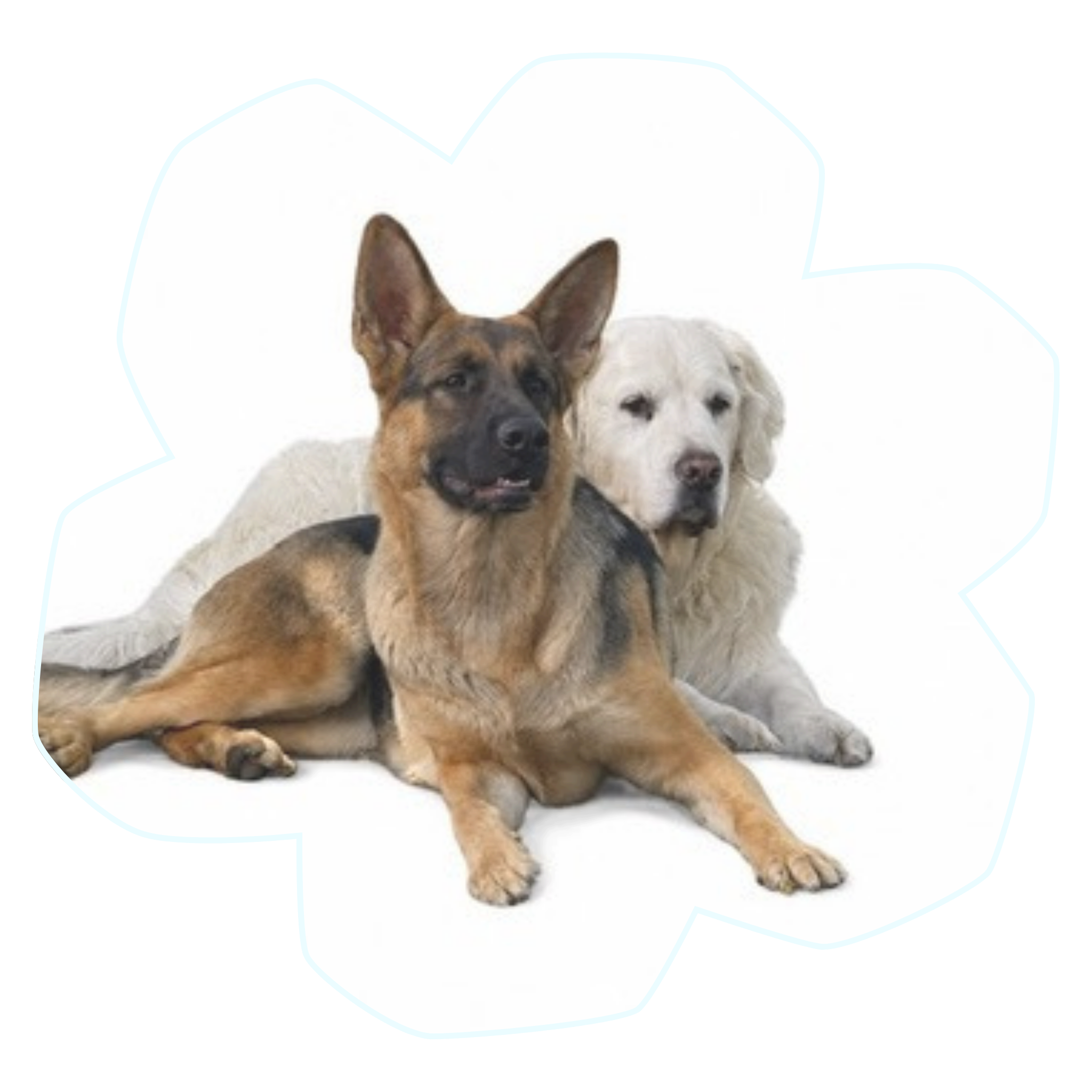 Max and Mazie in a flower shaped frame