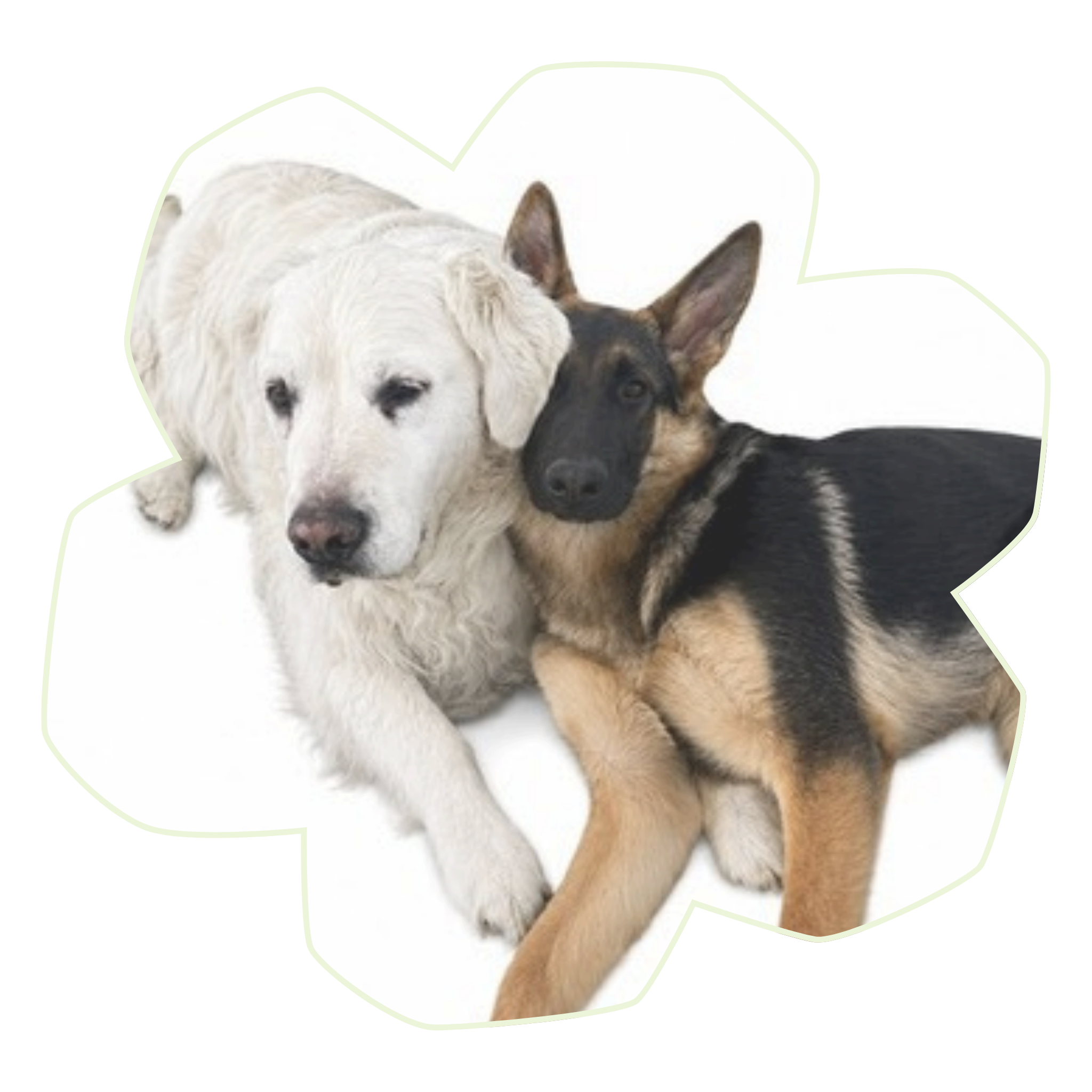 Max and Mazie in a flower shaped frame